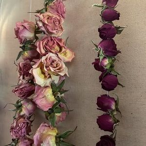 Dried Roses 🥀 Shabby Chic